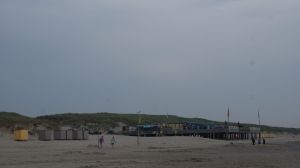 09 JUNIO: ALREDEDORES DE UTRECHT Y DE SINT MAARTENSZEE - HOLANDA con PERRO (Junio 2014) (17)