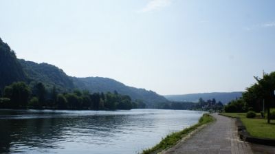 13-14 JUNIO: DINANT Y REIMS Y VUELTA A CASA - HOLANDA con PERRO (Junio 2014) (1)