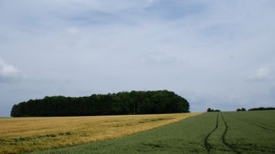 13-14 JUNIO: DINANT Y REIMS Y VUELTA A CASA - HOLANDA con PERRO (Junio 2014) (4)