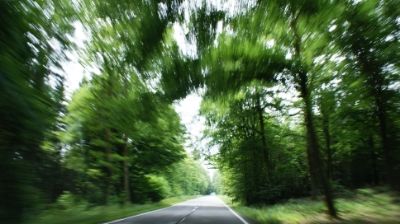 13-14 JUNIO: DINANT Y REIMS Y VUELTA A CASA - HOLANDA con PERRO (Junio 2014) (5)