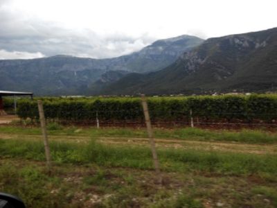 A CROACIA EN COCHE CON PERRO (JUNIO 2016) - Blogs de Croacia - 19 JUNIO 2016: MOSTAR - SARAJEVO (11)