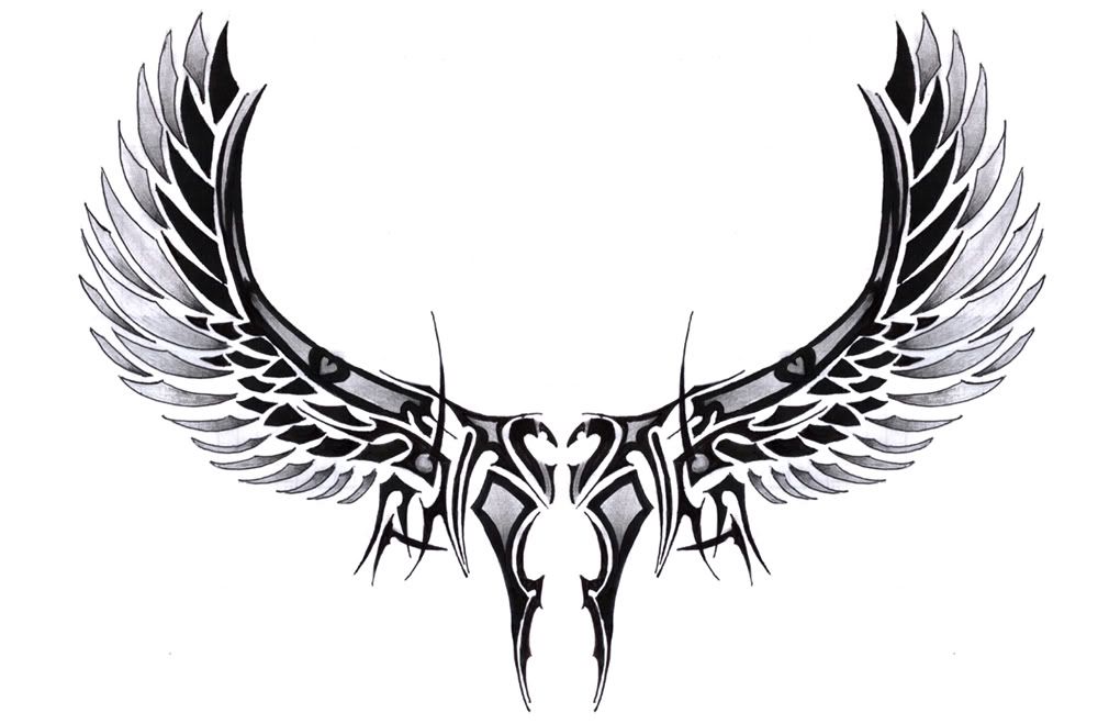 The wing design are