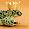 frogprince.png Frog Prince image by operabutterfly