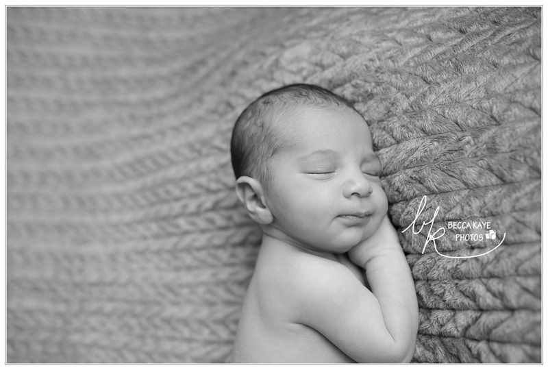  photo BECK3847pbww_zpsfhsxosma.jpg