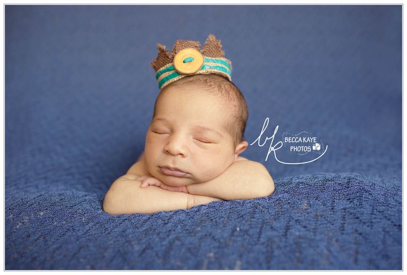  photo BECK3873pw_zpsevncvad7.jpg