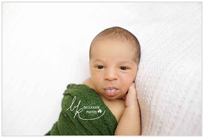  photo BECK3921pw_zpsmel4losw.jpg