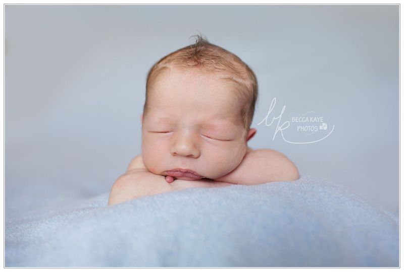  photo BECK1916ppw_zpsjwbb3f2s.jpg