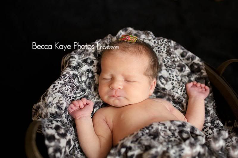 photo BECK2829ppw_zpsc255a7ab.jpg