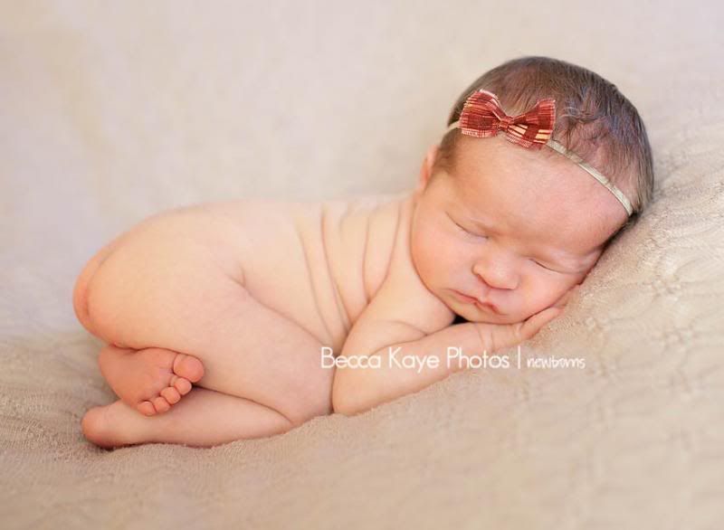 photo BECK2900ppw_zpsad86cb3e.jpg