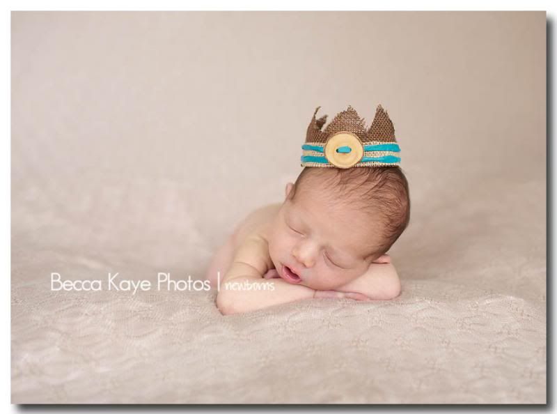  photo BECK6504ppw_zpsa59fbf77.jpg