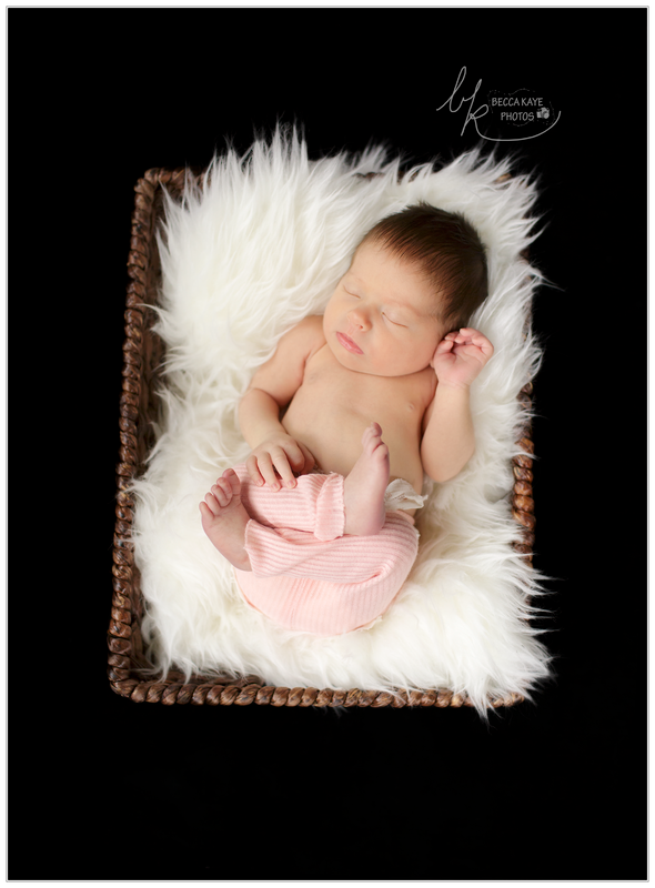  photo BECK7634ppw_zpshgbnrvy6.png