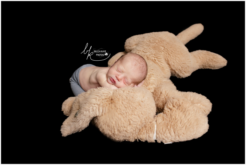  photo BECK8319ppw_zpsmbir2nnw.png
