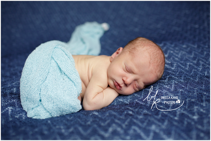  photo BECK8423ppw_zpsxkvsne2a.png