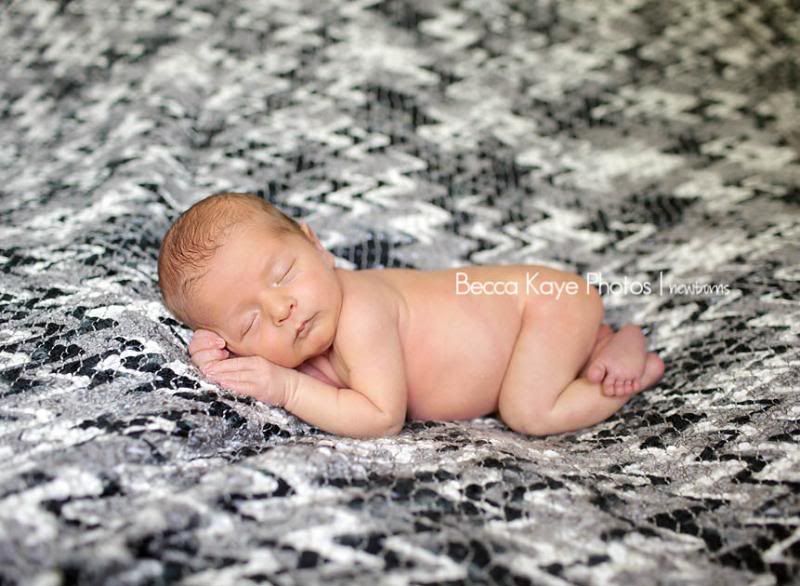  photo BECK9164ppw_zps2266465f.jpg