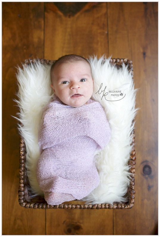  photo BECK9367ppw_zpsq82txlbp.png