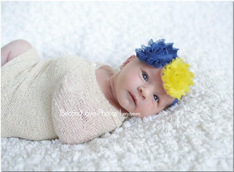 photo BECK9948ppw_zps955fbdc0.jpg