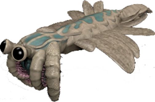 BigAnomalocaris.jpg