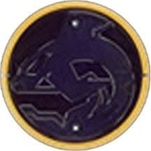 OrcaWhaleMedal.jpg
