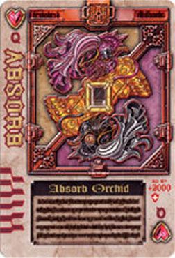 QAbsorbOrchidCard.jpg