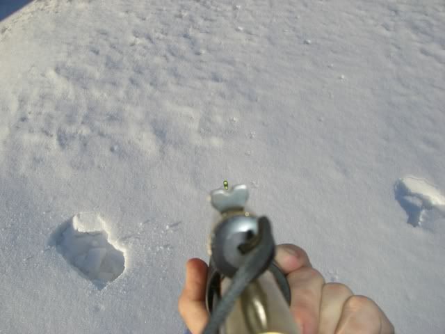Posted Image