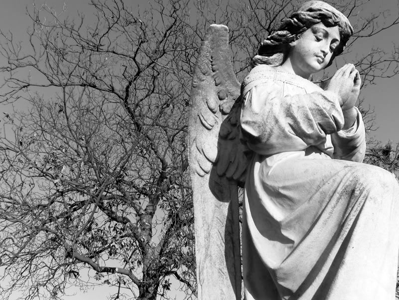 IMAGE: http://i28.photobucket.com/albums/c211/ovride1/b_w_small.jpg