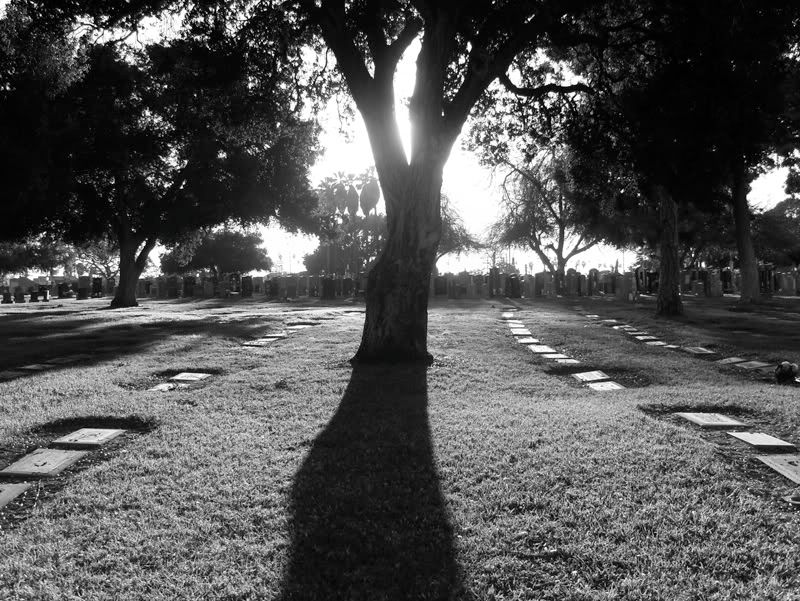 IMAGE: http://i28.photobucket.com/albums/c211/ovride1/gravesmall.jpg