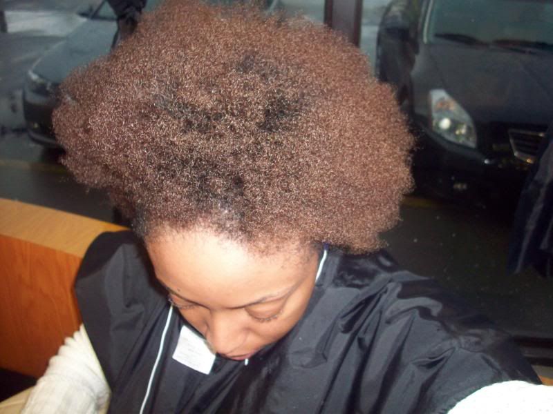 100_3110.jpg