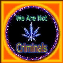 criminals6.jpg picture by catchdmc