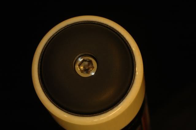 DSC_8491.jpg