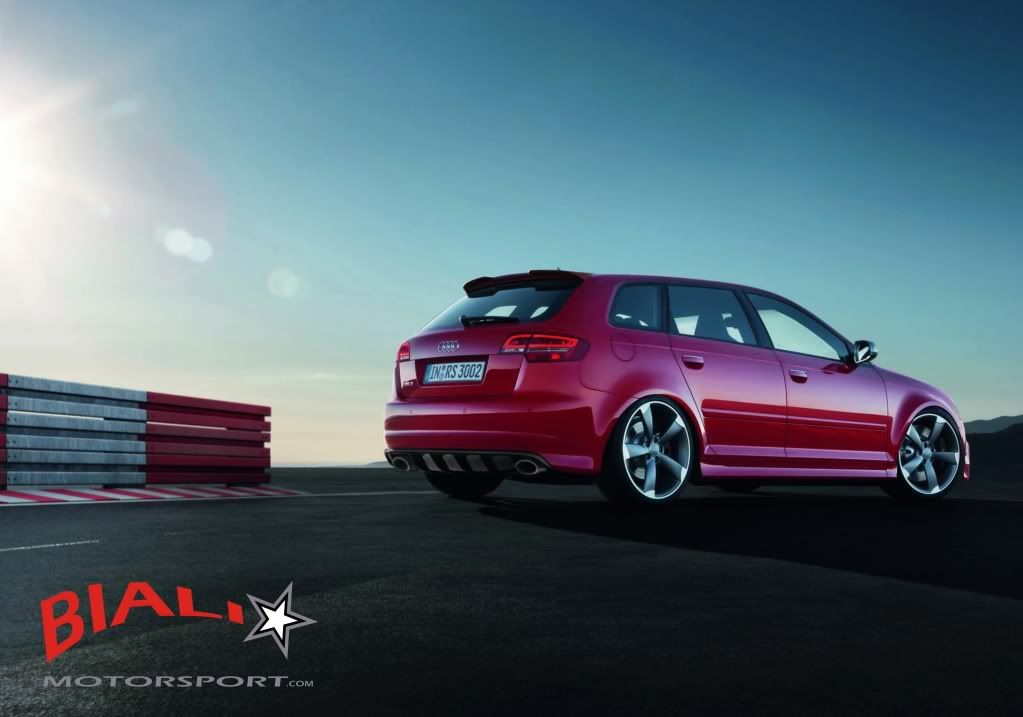 rs3001.jpg