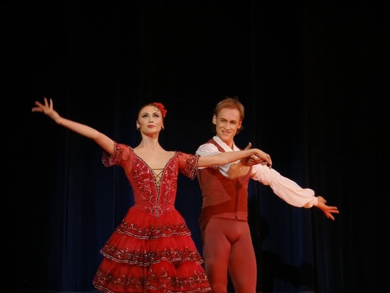 dance.net - S. Zakharova, I. Zelensky - Don Quixote (6863181) - Read