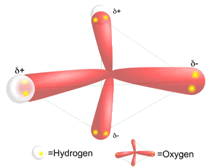 tetrahedral_water.gif