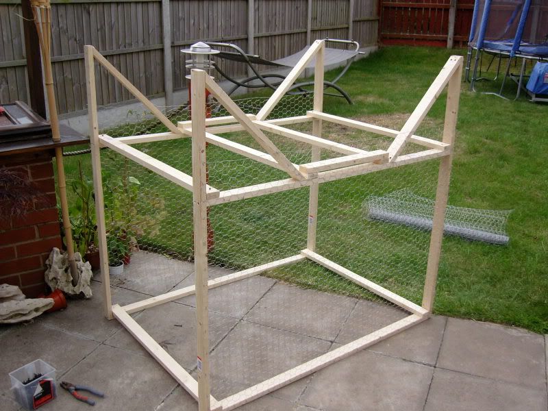 laddertrap005.jpg