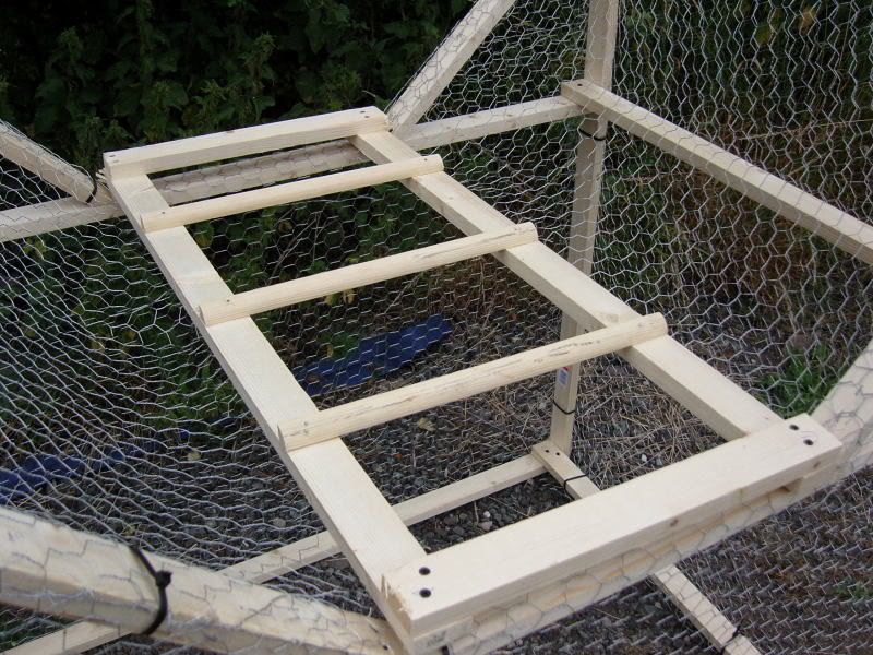 laddertrap007.jpg