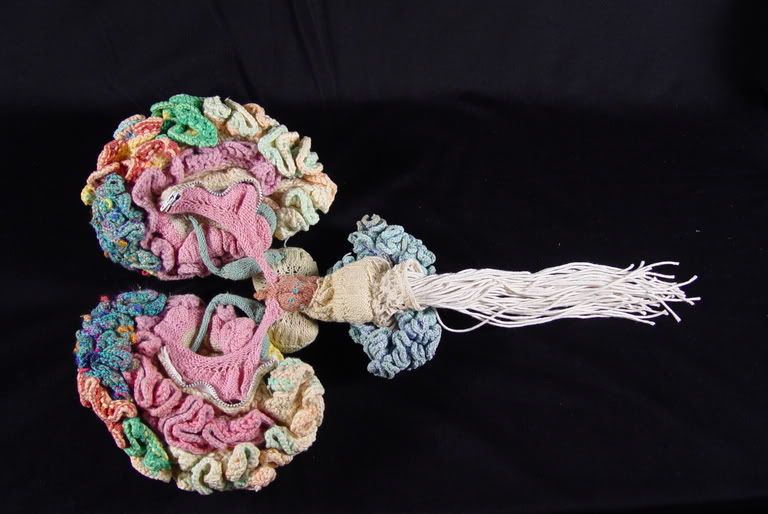 Knitted brain by Karen Norburg