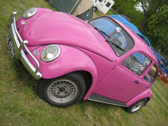 IMG_1006.jpg
