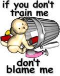 If you don't train me, don't blame me