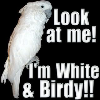Look at me--I'm white and birdy!