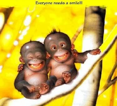 everyoneneedsasmile8ui0gesillymonke.jpg funny smile monkeys image by summer_bumm