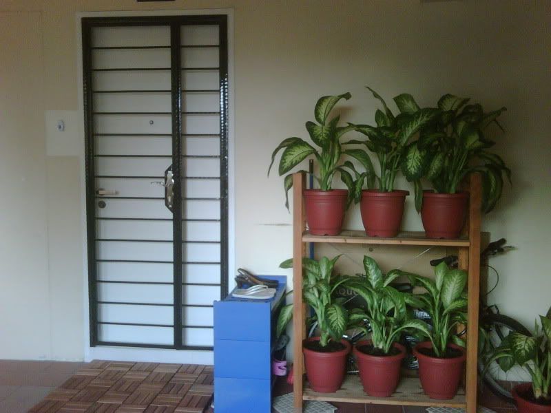 Entrance-MainGateWPlants.jpg