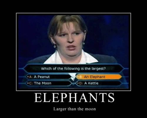 Image hotlink - 'http://i28.photobucket.com/albums/c218/dancin_bebot93/elephants_list_view.jpg' Image hotlink - 'http://i28.photobucket.com/albums/c218/dancin_bebot93/elephants_list_view.jpg'