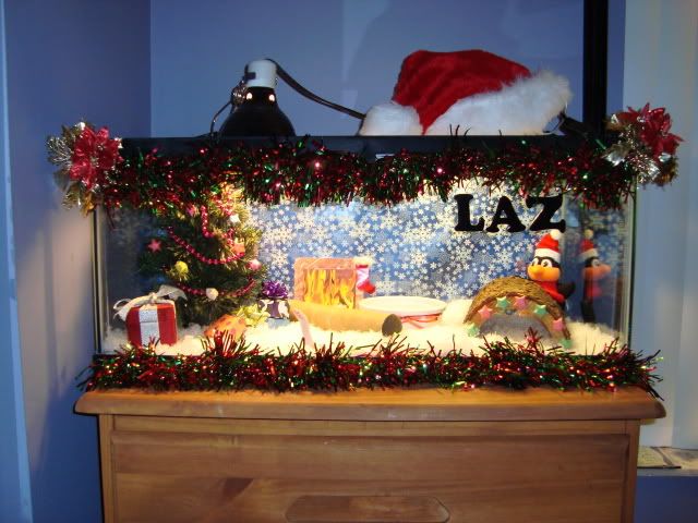DSC00332.jpg