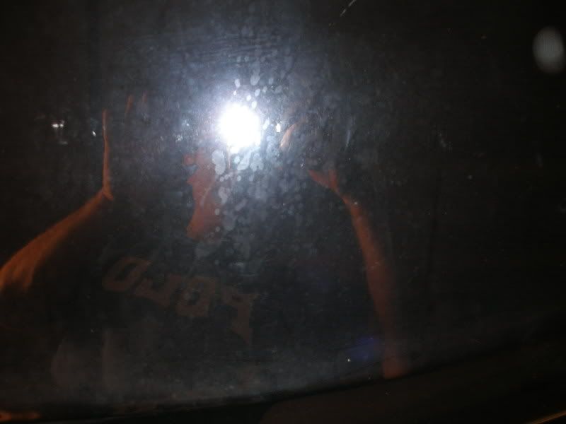 trunk3.jpg