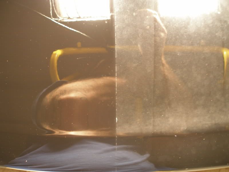 trunk5.jpg