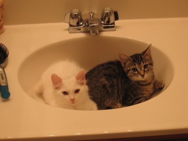 sink.jpg