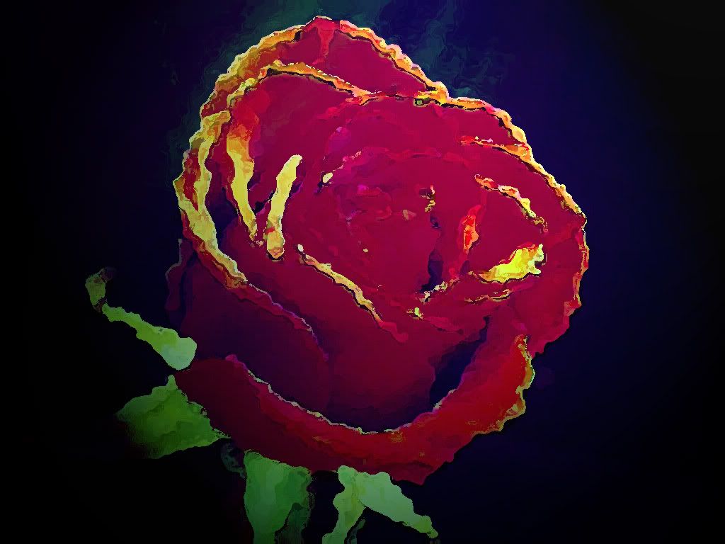reddest-rosecopy.jpg