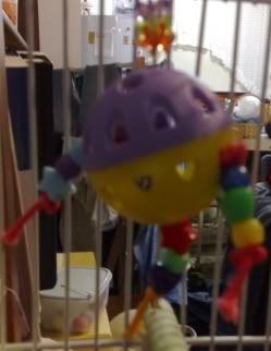toy01.jpg
