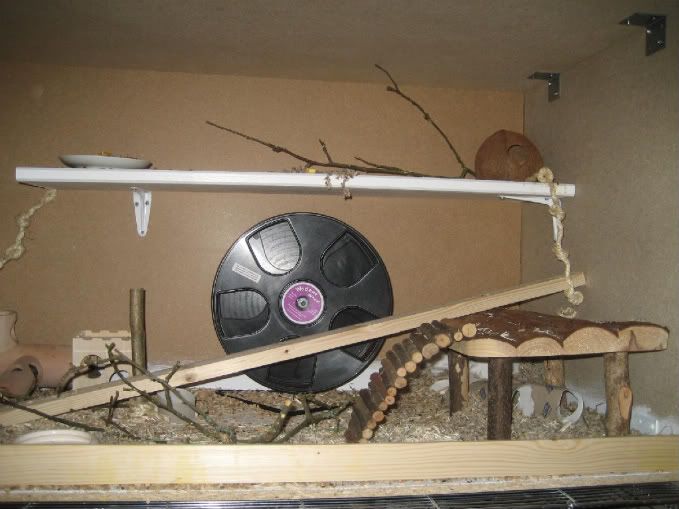 Mslis013.jpg