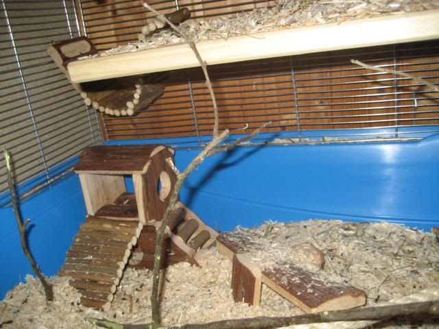 Mslis018.jpg