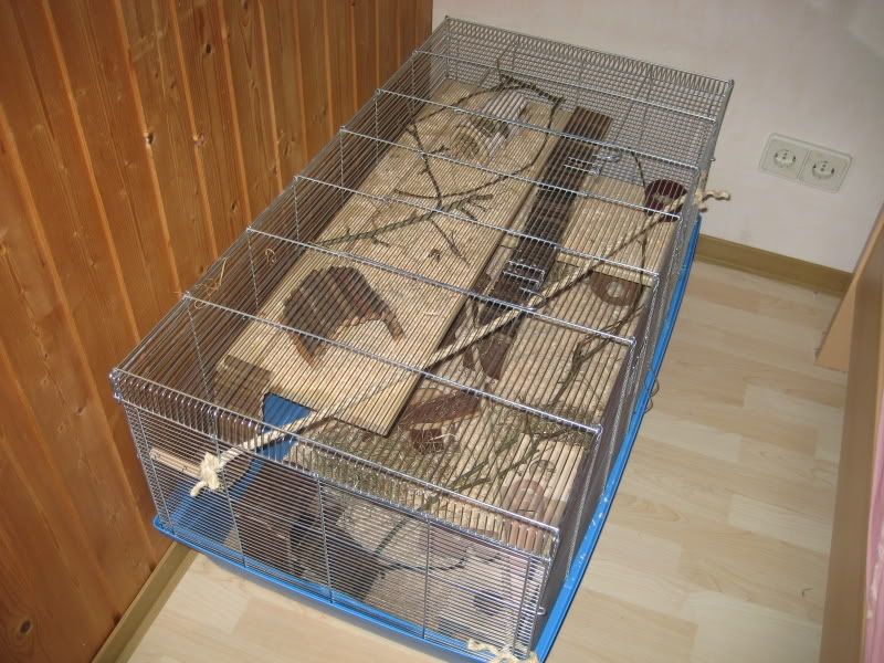 hamster001.jpg